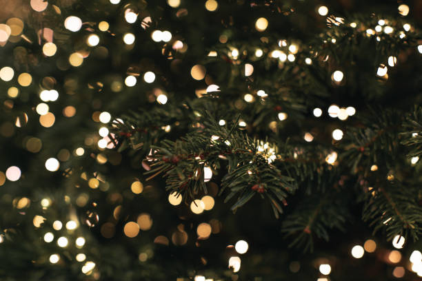 istock Christmas New Year magic abstract background. Golden lights and green pine branches. 1845067227