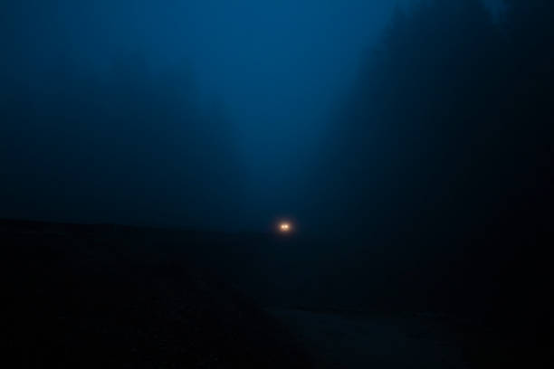 istock Single car headlights in a heavily fogged forest. 1845138320