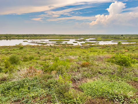 Artificial lagoon with grassy islets in a nature preserve, once farmland, along the Gulf Coast of southwest Florida. Restoration of wetlands, mangroves, and other habitat for saltwater sport fish.