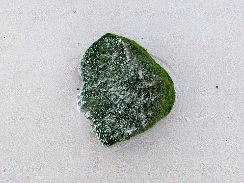 Rocks on beach sand