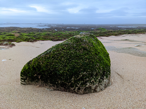 Rocks on beach sand