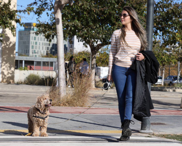 istock Young lady taking dog to tram station 1845184276
