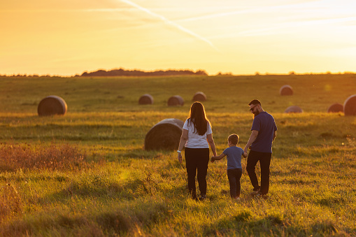 Mother, father and son are walking hand in hand through the wide fields of Lithuania in the evening light. A harmonious family during a walk in the fresh air.