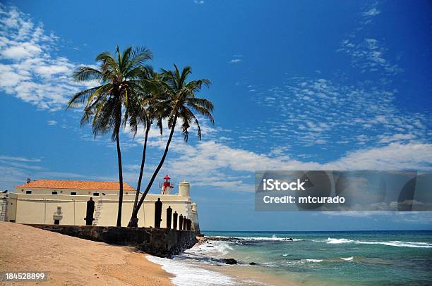 Tropical Beach Coconut Trees And Colonial Fort Stock Photo - Download Image Now - Beach, Coconut Palm Tree, Fort