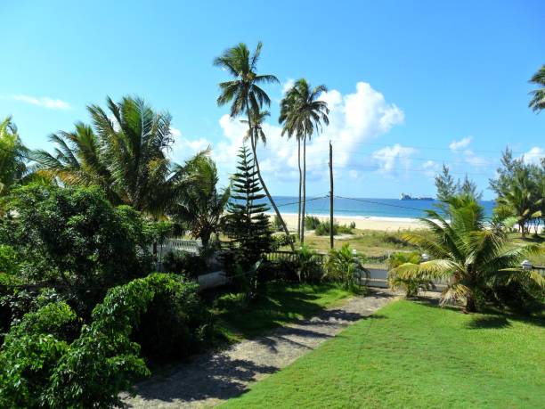 istock A beach view in Tamatave, Madagascar from a Hotel balcony . 1845314709