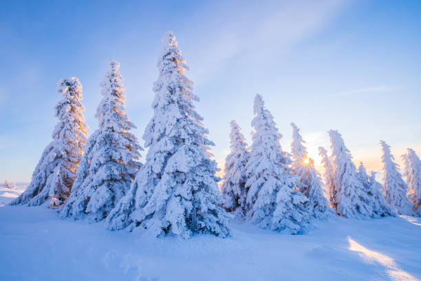 istock Snowy Christmas morning 1845323693