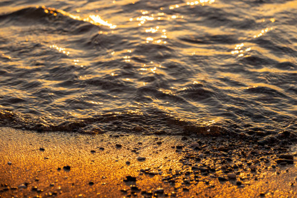 Free Stock Photo of Sunset casting golden light on a sandy beach ...