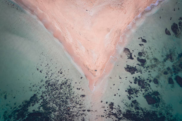 istock The sand ant the sea 1845394836