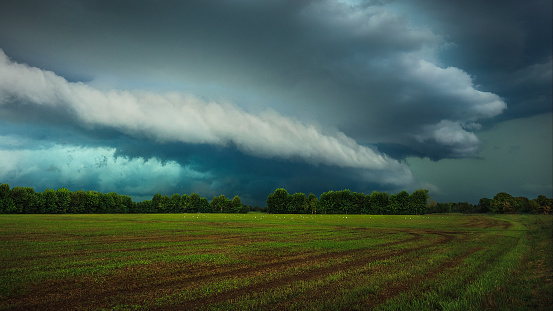 An atmospheric image of a summer landscape in peril as a thunderstorm approaches on the horizon