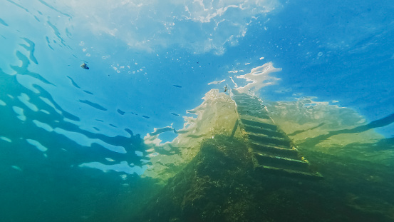 In a full frame undersea spectacle,the intricate structure of a ladder becomes a focal point,surrounded by the captivating marine world. A glimpse into the harmonious coexistence of man made structures and the natural beauty of the underwater realm