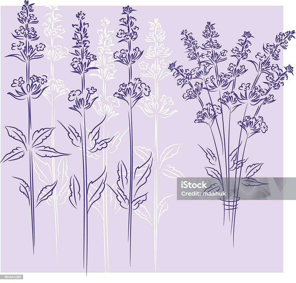 lavender file_thumbview_approve.php?size=1&id=23003419 Lavender - Plant stock vector