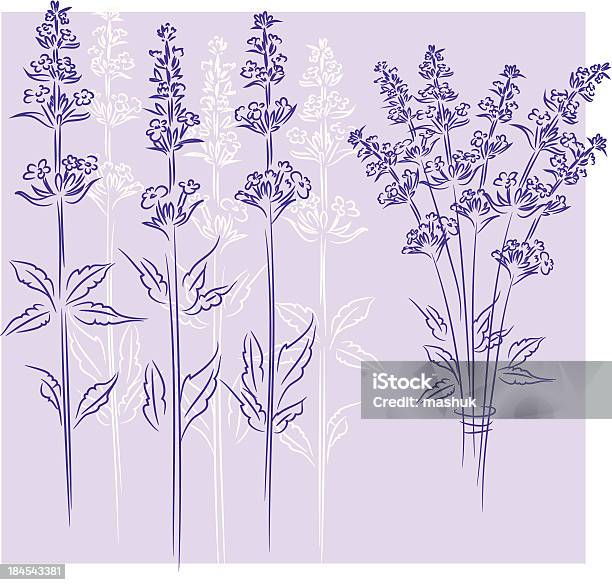 Lavender Stock Illustration - Download Image Now - Lavender - Plant, Lavender Color, Illustration