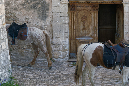 Two horses in a Provencal village in France