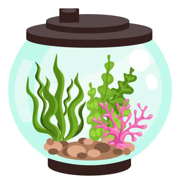 Vector illustration of Aquarium element. Fishbowl with seaweeds and stones. Empty fish tank. Glass sphere container. Undersea plants. Sea algae and sand. Underwater animals home. Vector aquaculture equipment