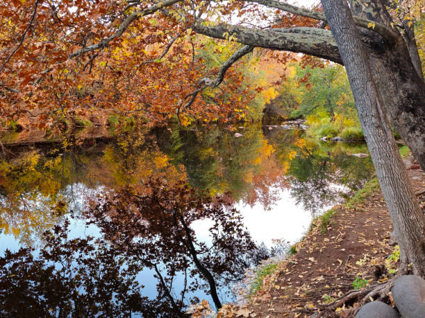 Sedona Oak Creek in Autumn stock photo