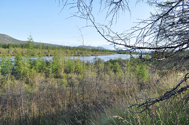 istock Landscape with the river and  mountains. 184549022