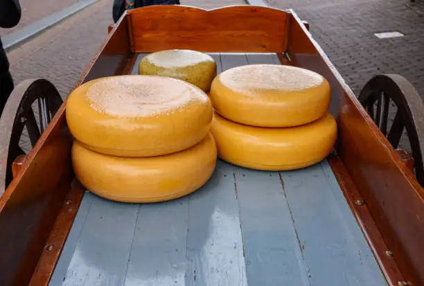 Photo of Whole round cheeses for sale at the cheese market in Gouda, the Netherlands