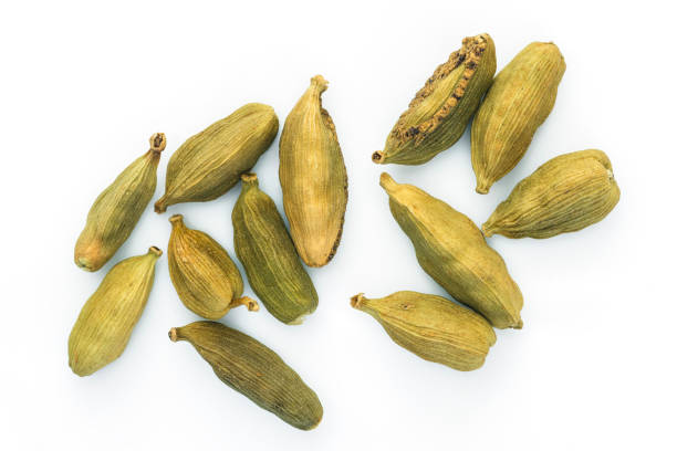 istock Whole green cardamom pods on white background 1845496444