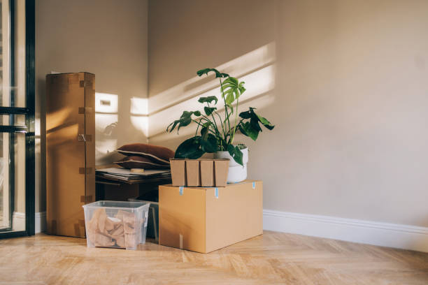 istock Moving In: Boxes, Plants Etc Ready for a New Chapter in a New Home 1845515813