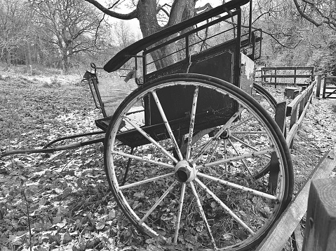 An antique horse drawn carriage abandoned in a field