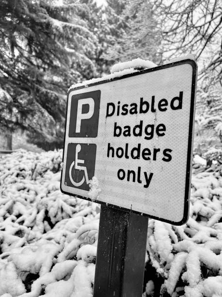 istock A disability parking sign in a winter landscape 1845544614