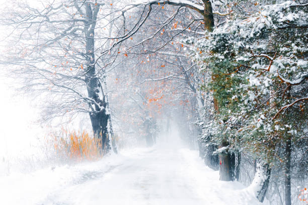 istock Winter landscape in the morning 1845559812