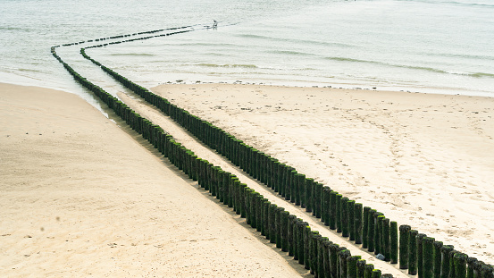 breakwaters on a dutch beach, a sea wall that breaks the force of the waves. Two parallel rows of weathered wooden poles.