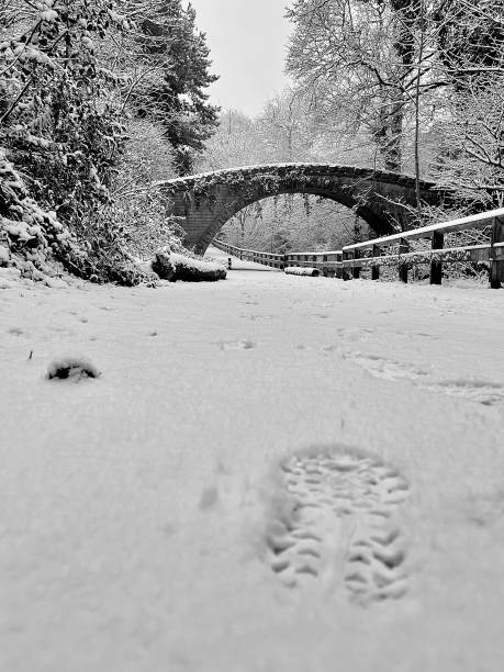 A wintry landscape at Jesmond Dene at Newcastle Upon Tyne A wintry landscape at Jesmond Dene at Newcastle Upon Tyne jesmond stock pictures, royalty-free photos & images