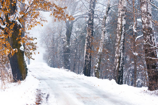 istock Winter landscape in the morning 1845565589
