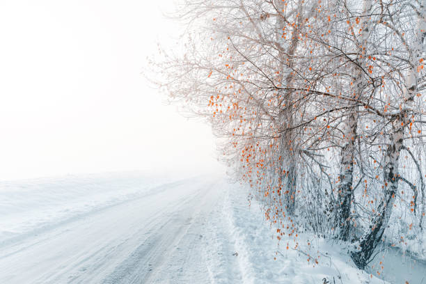 istock Winter landscape in the morning 1845566754
