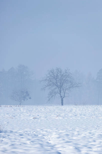 istock Winter landscape in the morning 1845567272