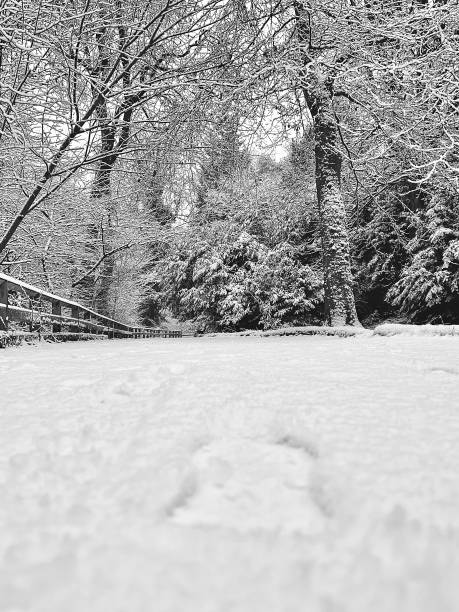 A wintry landscape at Jesmond Dene at Newcastle Upon Tyne A wintry landscape at Jesmond Dene at Newcastle Upon Tyne jesmond stock pictures, royalty-free photos & images