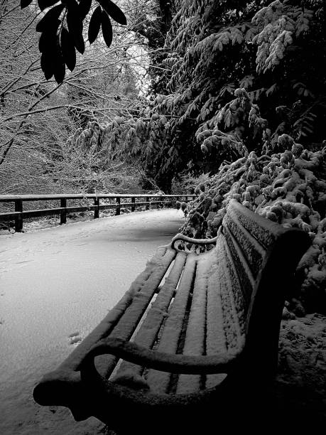 An empty public park bench covered with snow in Jesmond Dene at Newcastle Upon Tyne An empty public park bench covered with snow in Jesmond Dene at Newcastle Upon Tyne jesmond stock pictures, royalty-free photos & images