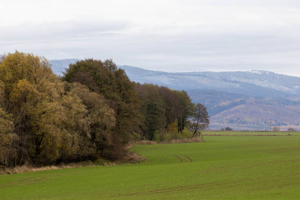 istock Sudetes mountains, Klodzko Cirque, autumn 2023 1845571957