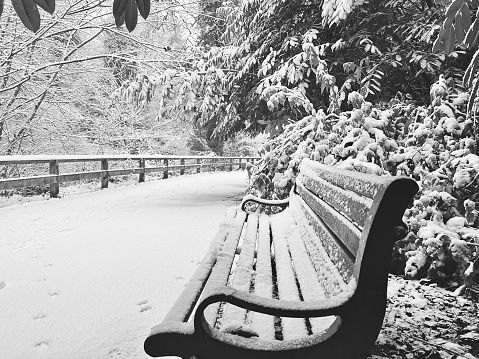 An empty public park bench covered with snow in Jesmond Dene at Newcastle Upon Tyne