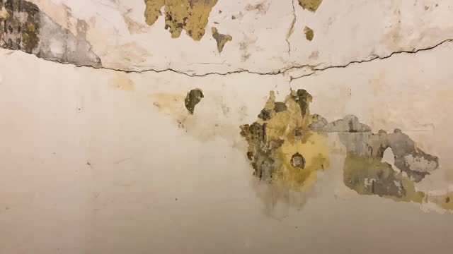 Mould and dirty house wall