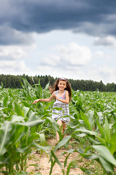 istock Joyful little girl running through the corn field 184562843