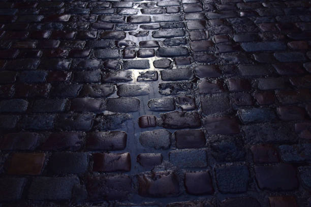 istock Street cobblestone after rain 1845640475