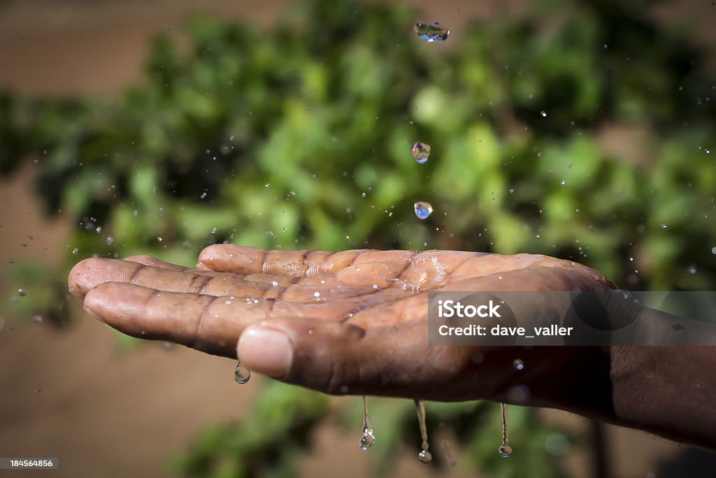 African Rain An outstretched hand feels the rain water splash on the palm of an african hand. Green foliage in the background adds to the feeling of relief from rain. Water Stock Photo