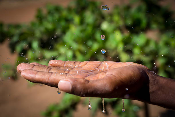 African Rain An outstretched hand feels the rain water splash on the palm of an african hand. Green foliage in the background adds to the feeling of relief from rain. malawi stock pictures, royalty-free photos & images