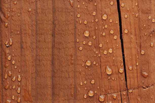 Water droplets on a wooden surface