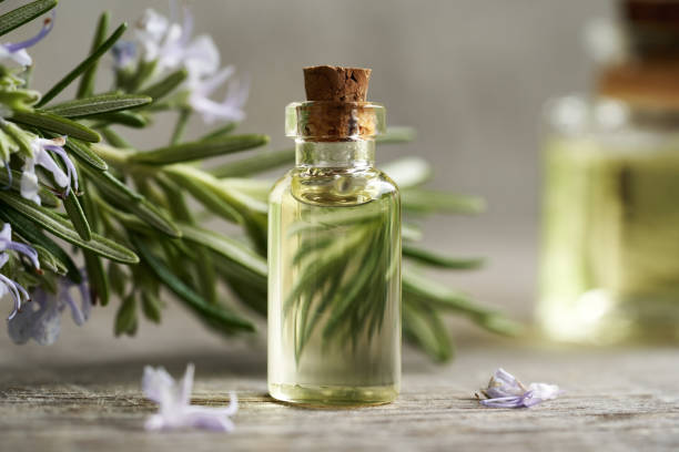 istock Rosemary essential oil in a glass bottle 1845724772