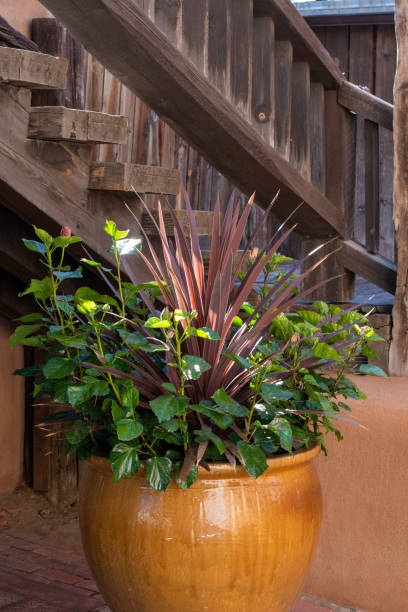 istock Potted plant by stairs 1845811183