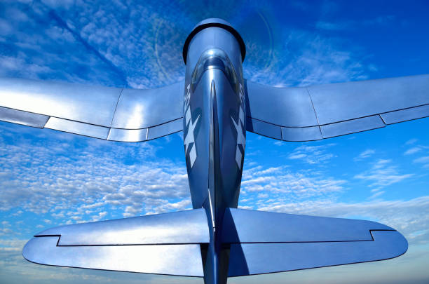 American carrier-based fighter is flying against the blue sky