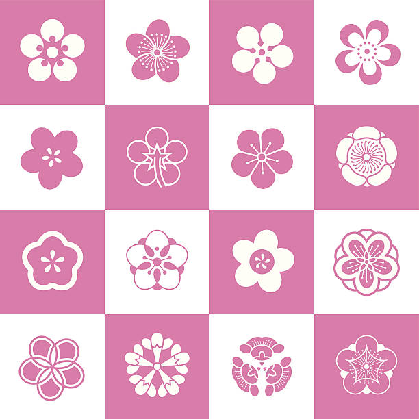 ilustraciones, imágenes clip art, dibujos animados e iconos de stock de pétalo patrones de flor de la ciruela - japanese culture single flower flower east