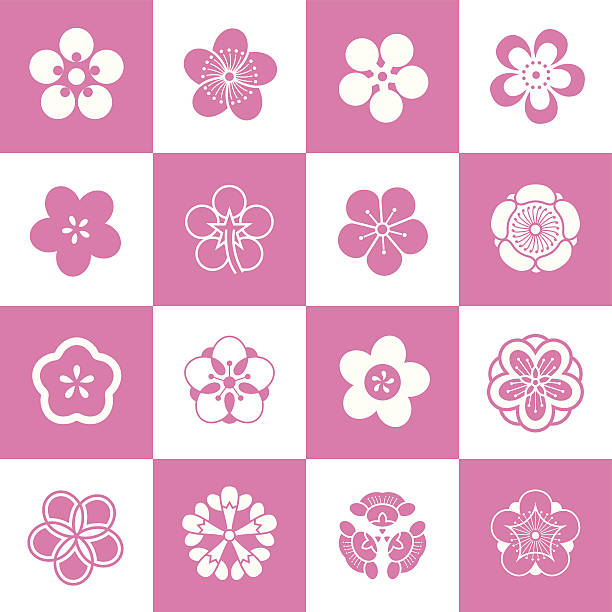 ilustrações, clipart, desenhos animados e ícones de padrões de pétalas de flor de ameixa - five petals