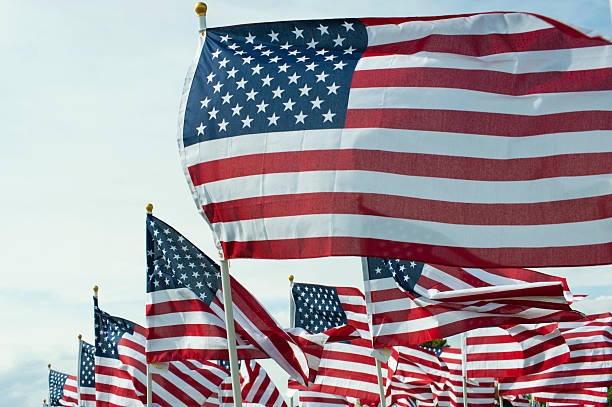 istock Field Full of Waving American Flags 184591550