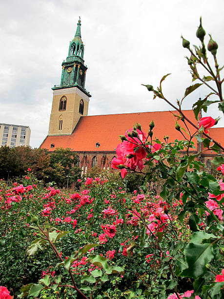 istock Central Berlin on Alexanderplatz with St. Marys Church (Germany) 184591804