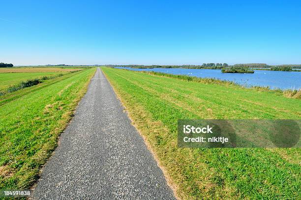 Radweg Auf Den Deich Stockfoto und mehr Bilder von Einspurige Straße - Einspurige Straße, Flach, Wiese