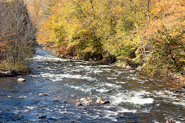 istock Autumn In Ontario 184591861